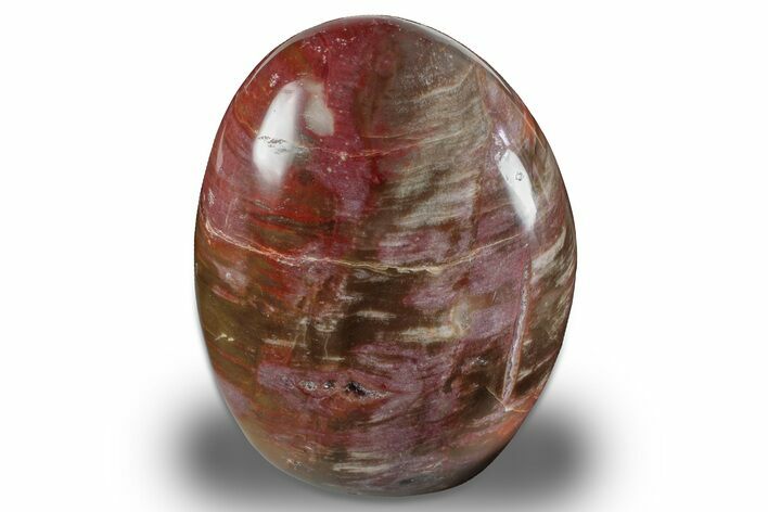 Free-Standing, Polished Petrified Wood - Madagascar #256727